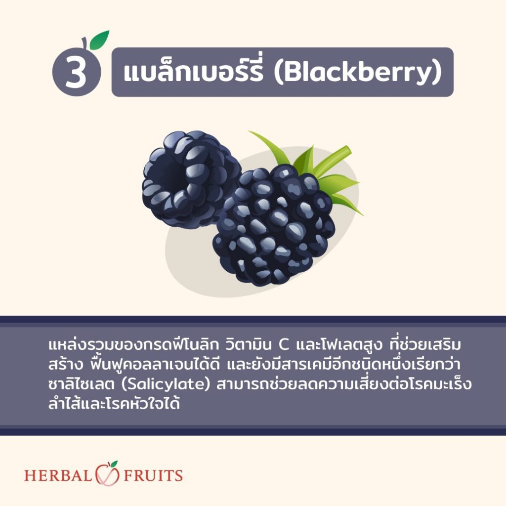 3. แบล็กเบอร์รี่ ต้านการอักเสบ