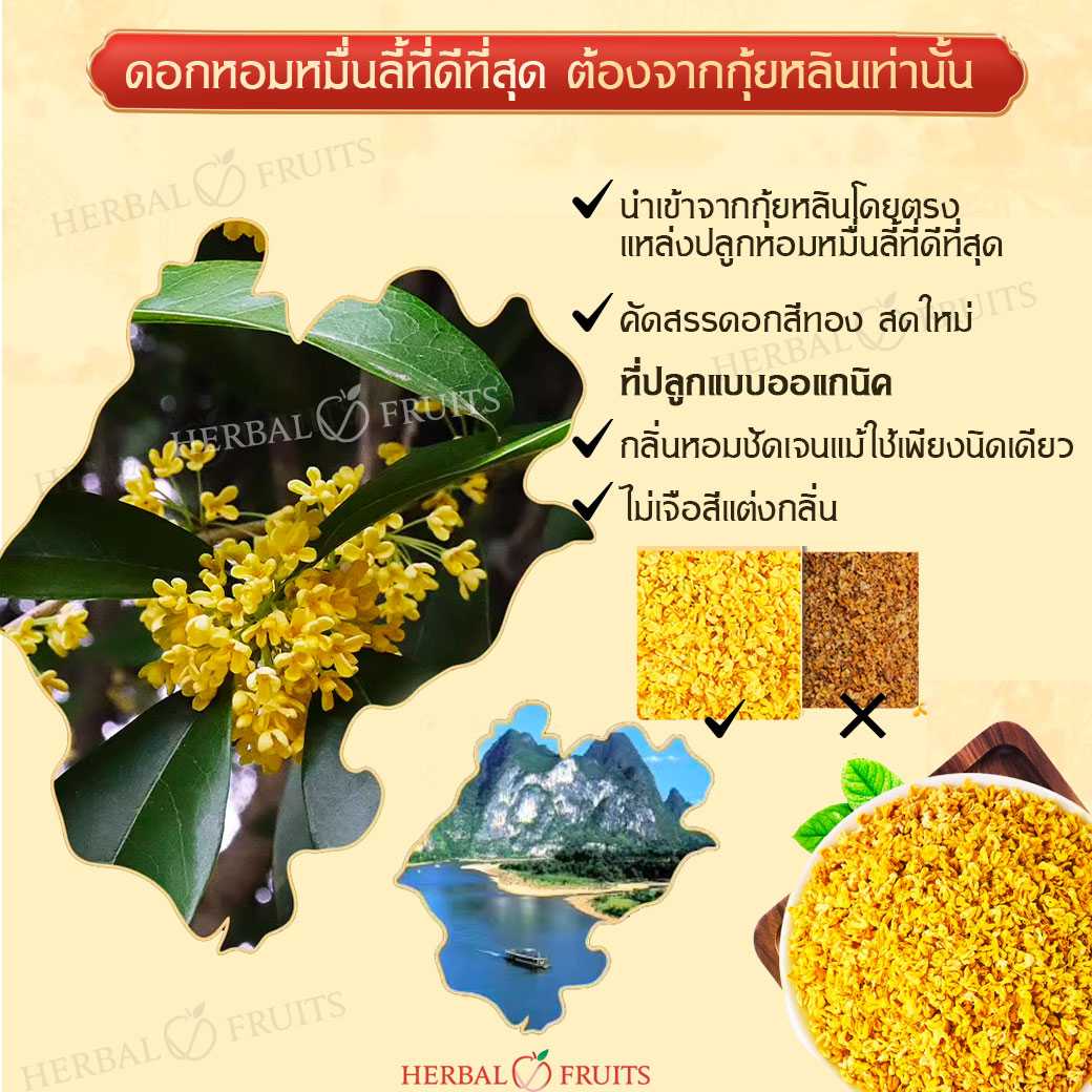 ชาดอกหอมหมื่นลี้ ดอกหอมหมื่นลี้ ออแกนิค เกรดพรีเมียม ขนาด 40 g จากกุ้ยหลิน หอมนุ่ม ลดความเครียด บำรุงปอดและหัวใจ 3 ชาดอกหอมหมื่นลี้ ดอกหอมหมื่นลี้ ออแกนิค เกรดพรีเมียม ขนาด 40 g จากกุ้ยหลิน หอมนุ่ม ลดความเครียด บำรุงปอดและหัวใจ - Image 3