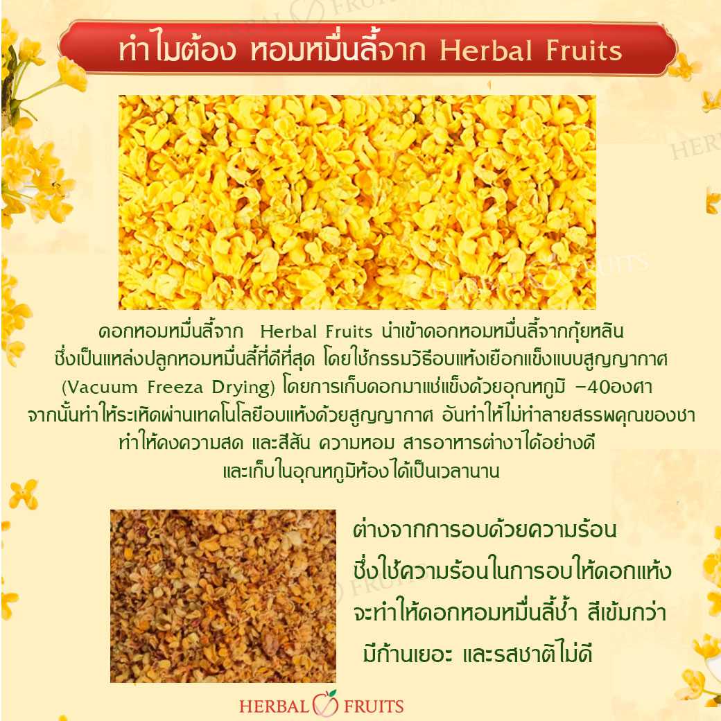 ชาดอกหอมหมื่นลี้ ดอกหอมหมื่นลี้ ออแกนิค เกรดพรีเมียม ขนาด 40 g จากกุ้ยหลิน หอมนุ่ม ลดความเครียด บำรุงปอดและหัวใจ 2 ชาดอกหอมหมื่นลี้ ดอกหอมหมื่นลี้ ออแกนิค เกรดพรีเมียม ขนาด 40 g จากกุ้ยหลิน หอมนุ่ม ลดความเครียด บำรุงปอดและหัวใจ - Image 2