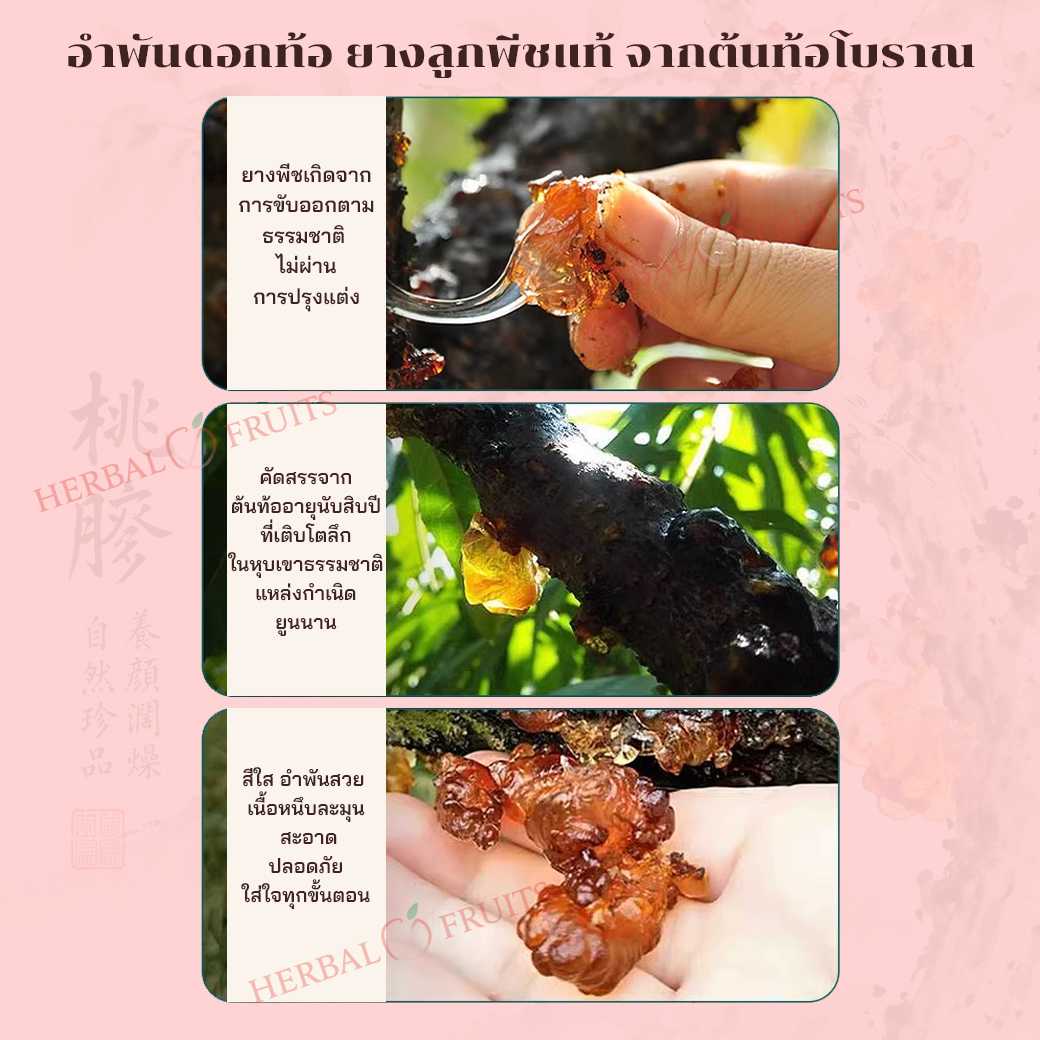 อำพันดอกท้อ เถาเจียว ยางท้อหิมะ เกรดพรีเมียม 200g คัดมือ 1.2-1.4 cm คอลลาเจนธรรมชาติ บำรุงผิวพรรณ 6 อำพันดอกท้อ เถาเจียว ยางท้อหิมะ เกรดพรีเมียม 200g คัดมือ 1.2-1.4 cm คอลลาเจนธรรมชาติ บำรุงผิวพรรณ - Image 6