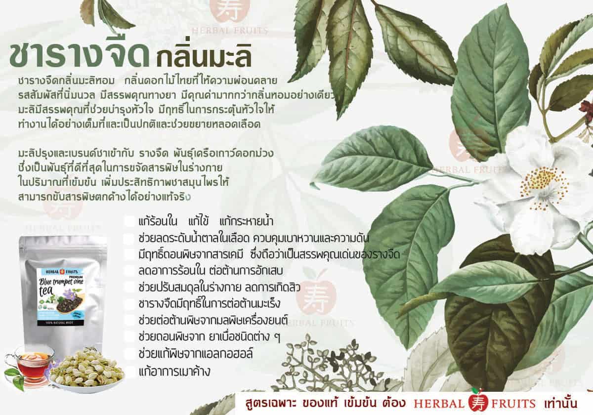 ชารางจืด กลิ่นมะลิ สูตรเข้มข้น (จำนวน 10 ซองชา) 3 ชารางจืด กลิ่นมะลิ สูตรเข้มข้น (จำนวน 10 ซองชา) - Image 3