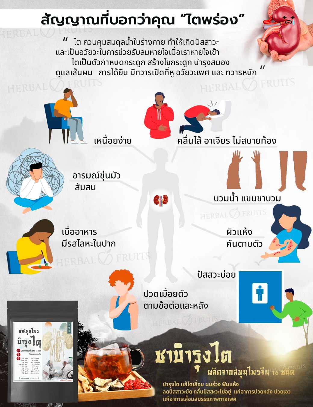 ชาบำรุงไต ปวดหลัง ปวดเอว ปัสสาวะบ่อย หลับไม่สนิท บรรจุ 10 ซองชา ตำรับแพทย์แผนจีน 4 ชาบำรุงไต ปวดหลัง ปวดเอว ปัสสาวะบ่อย หลับไม่สนิท บรรจุ 10 ซองชา ตำรับแพทย์แผนจีน - Image 4